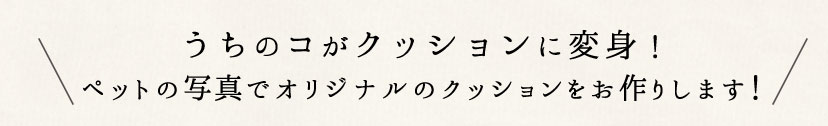 うちのコがクッションに変身！ペットの写真でオリジナルのクッションをお作りします！