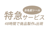 お名前シール耐水ノンアイロン-ディズニー