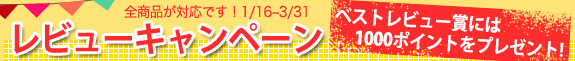 レビューで1000Ｐ