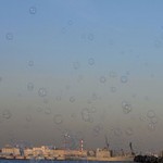 shinko_park