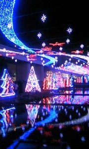 081215_17570100011