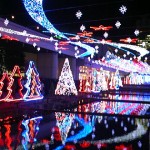 081215_1757012