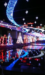 081215_1757012
