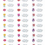 l_s_flower