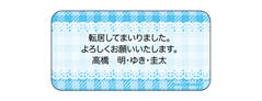 センタータイプシ チェックレース水色