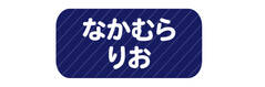 オミとリカ 洗えるお名前シ ネイビー