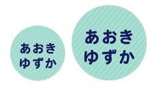 オミとリカ 洗えるお名前シ みずいろ