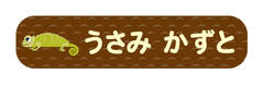 オミとリカ 洗えるお名前シー とかげ