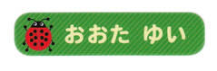 オミとリカ 洗えるお名 てんとうむし