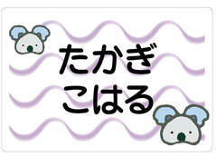 ノンアイロン　お昼寝布団・バ コアラ