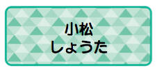 パターンお名前シー トライアングル緑