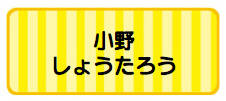 パターンお名前シール_ ボーダー黄色