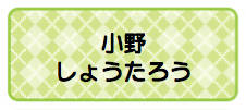 パターンお名前シール アーガイル黄緑