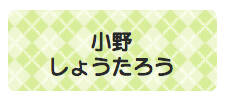 パターンお名前シール アーガイル黄緑