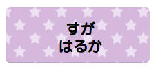 パターンお名前シール_10 スター紫