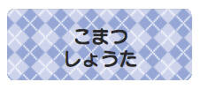 パターンお名前シー アーガイルブルー