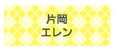 パターンお名前シール アーガイル黄色